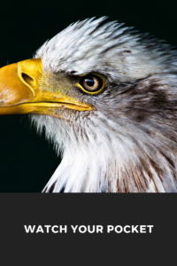eagle's eye watching