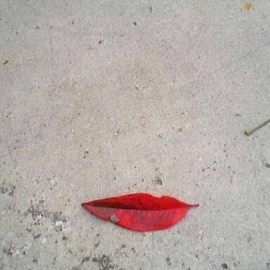 Lip-shaped leaf on sand